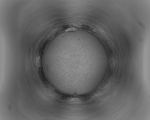 X0000112980224200909101721