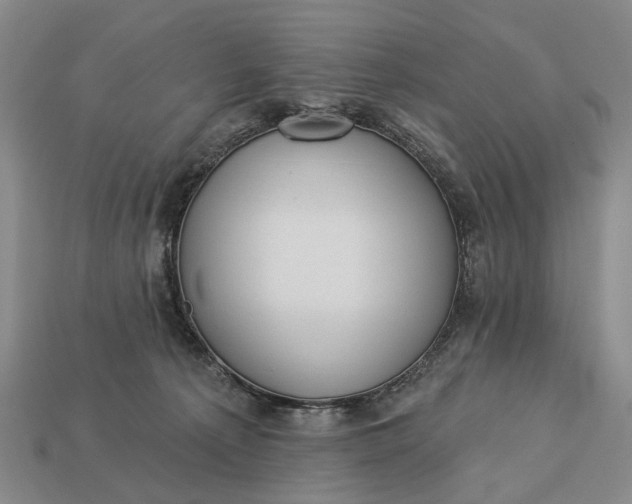 X0000112980225200909101721