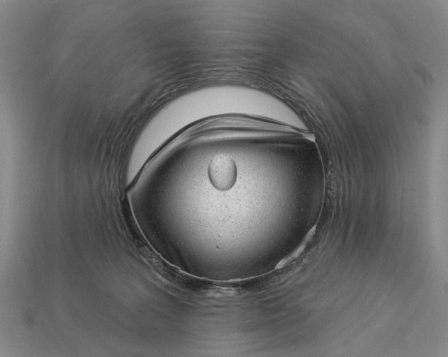 X0000112980227200909101721