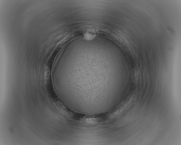 X0000112980228200909101721