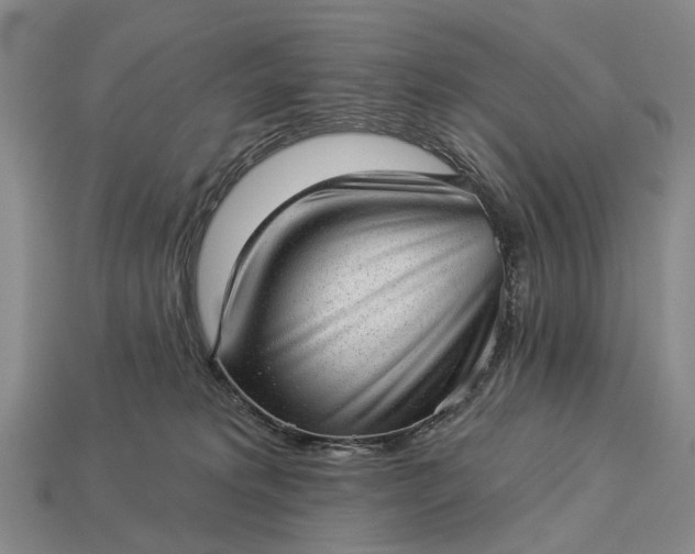 X0000112980229200909101721