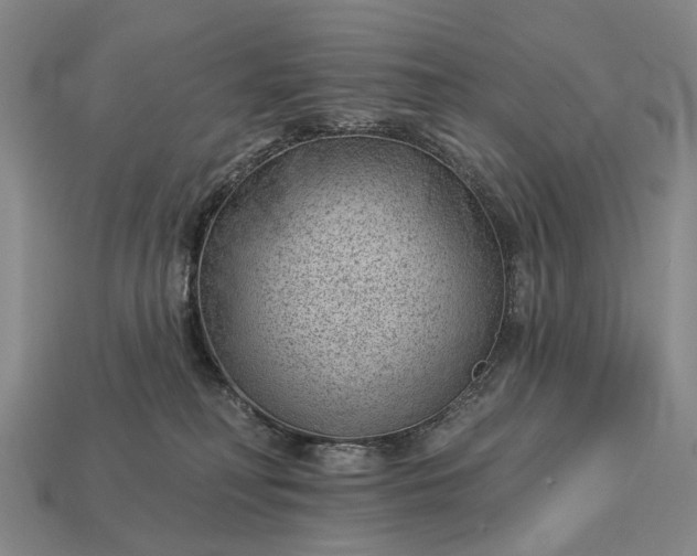 X0000112980230200909101721