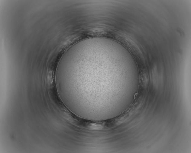 X0000112980232200909101721