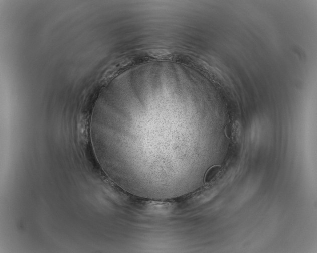 X0000112980234200909101721