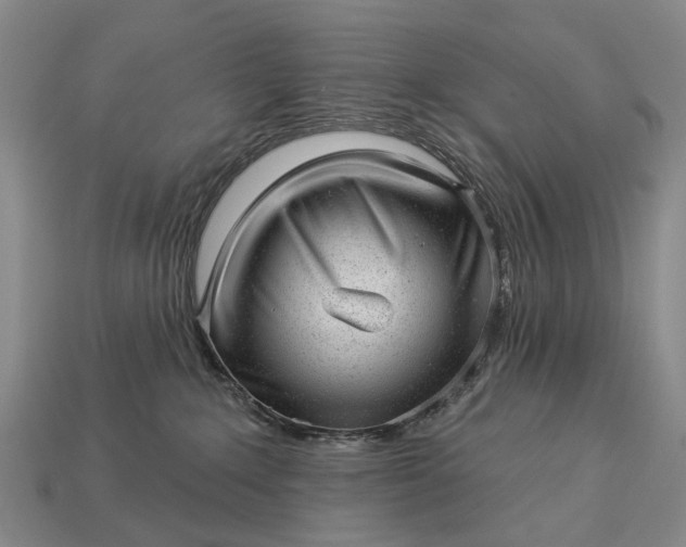 X0000112980235200909101721