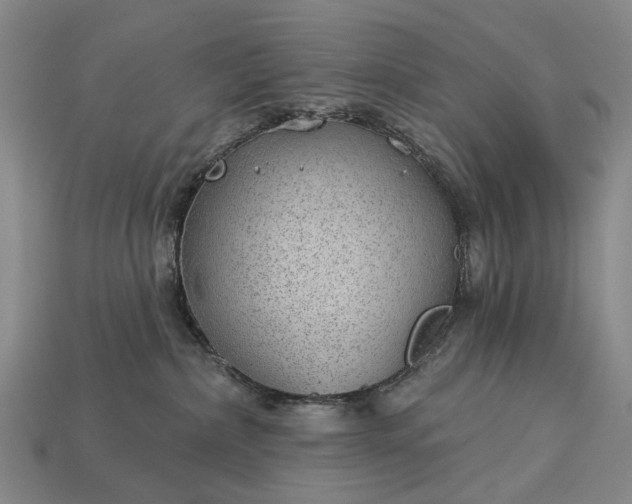 X0000112980236200909101721