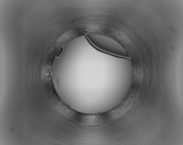 X0000112980237200909101721