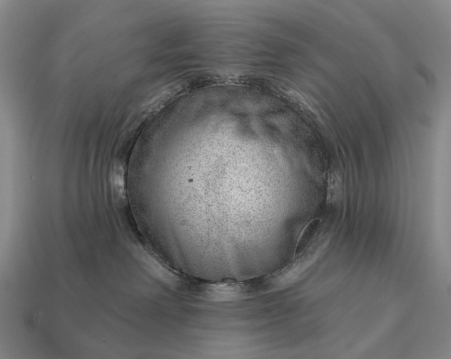 X0000112980238200909101721