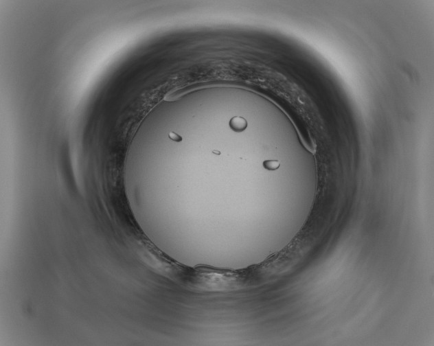 X0000112980239200909101721