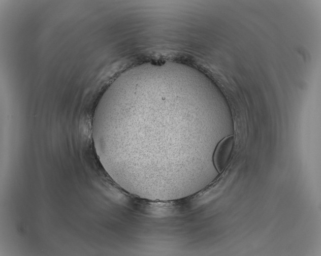 X0000112980240200909101721