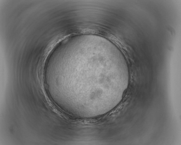 X0000112980241200909101720