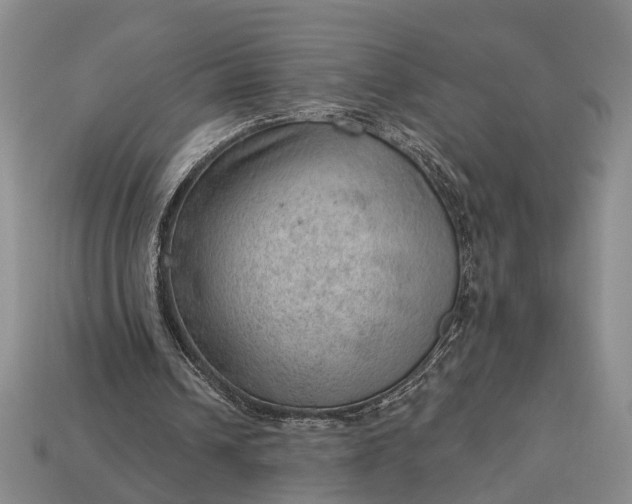 X0000112980242200909101720