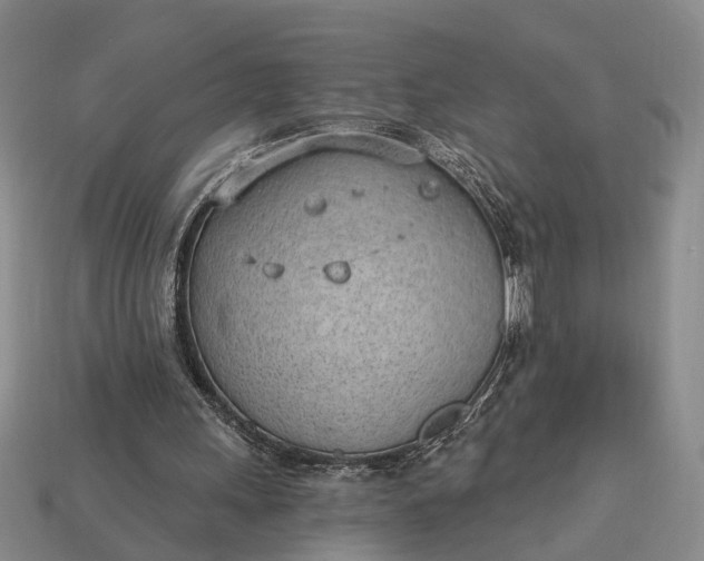 X0000112980243200909101720