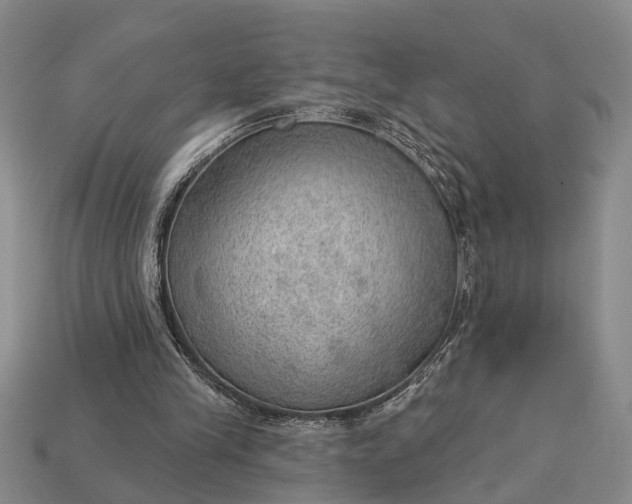 X0000112980245200909101720