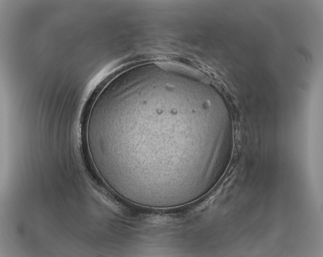 X0000112980246200909101720