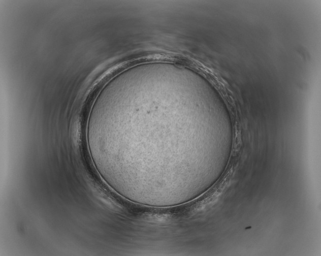 X0000112980247200909101720