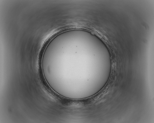 X0000112980248200909101720