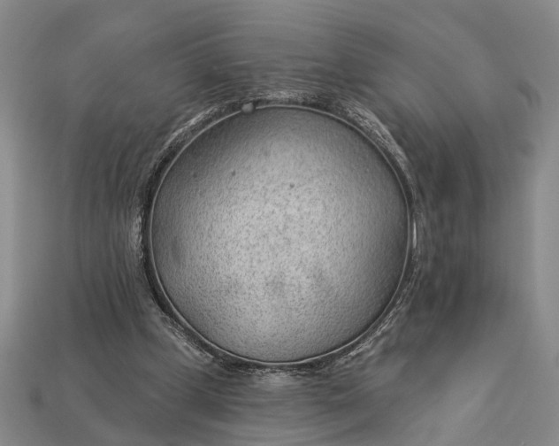 X0000112980249200909101720