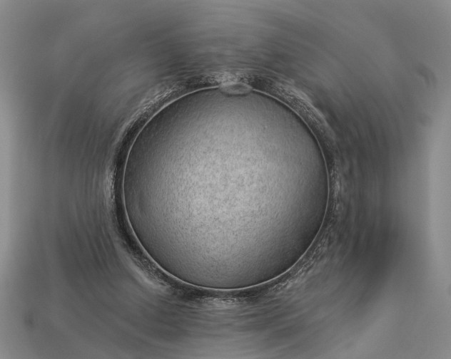 X0000112980250200909101720