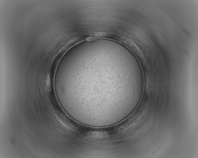 X0000112980251200909101720