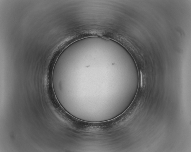 X0000112980252200909101720