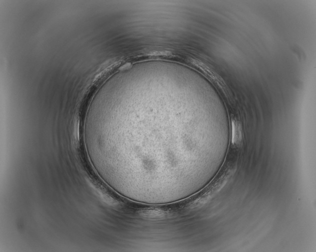 X0000112980253200909101720