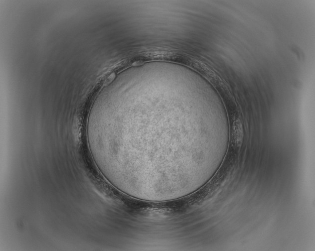 X0000112980255200909101720