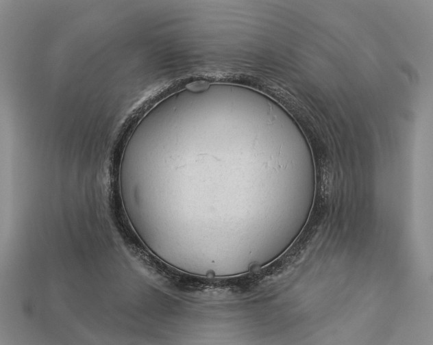 X0000112980256200909101720