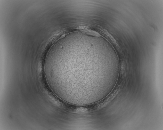 X0000112980257200909101720