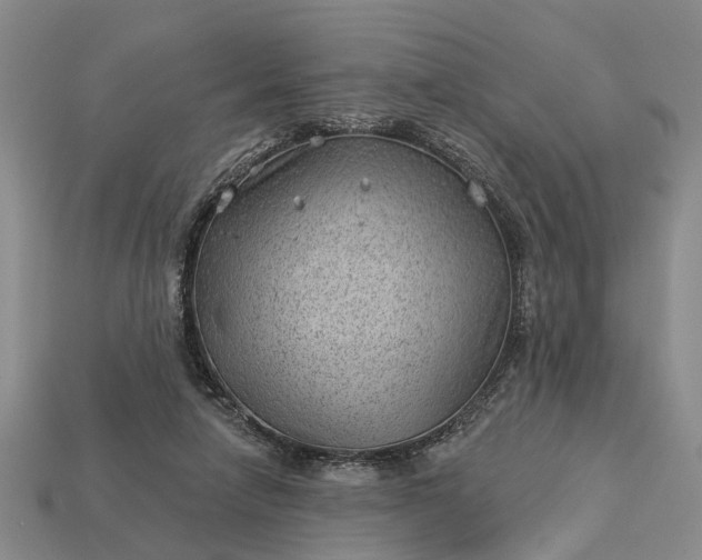 X0000112980258200909101720