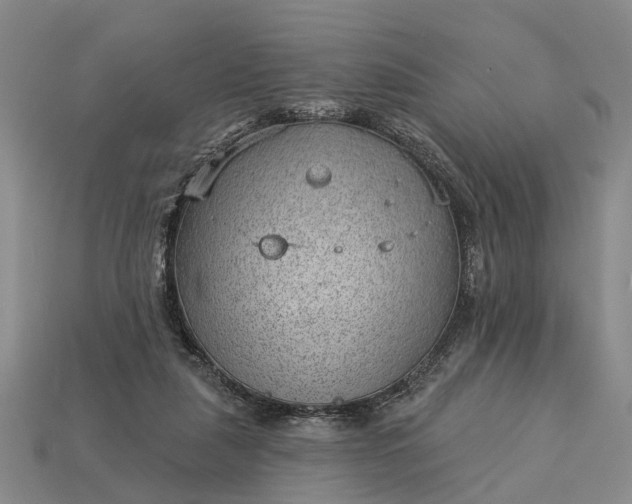 X0000112980259200909101720