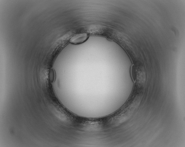 X0000112980260200909101720