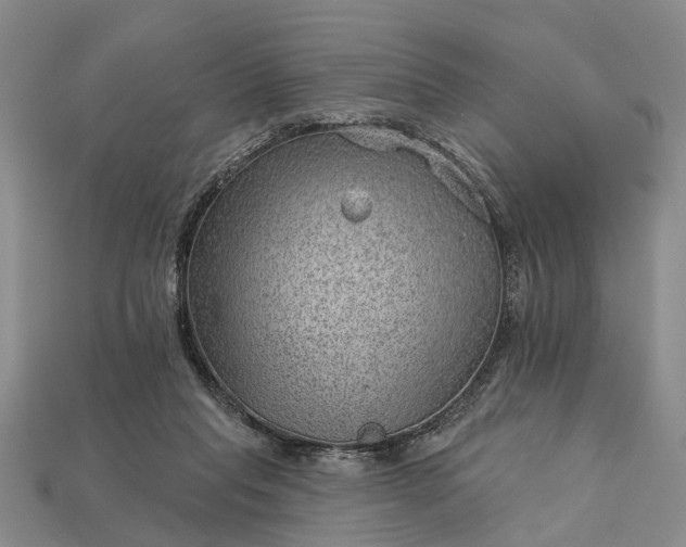 X0000112980261200909101720