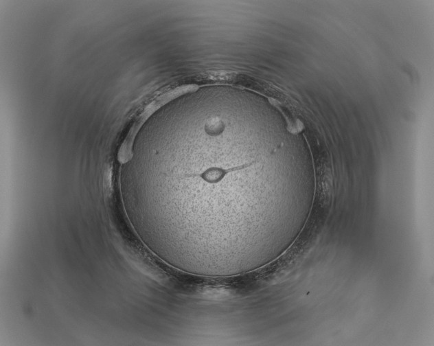 X0000112980262200909101720