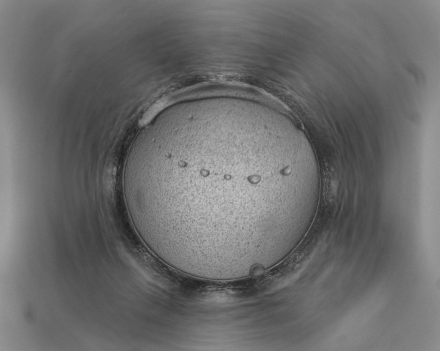 X0000112980263200909101720