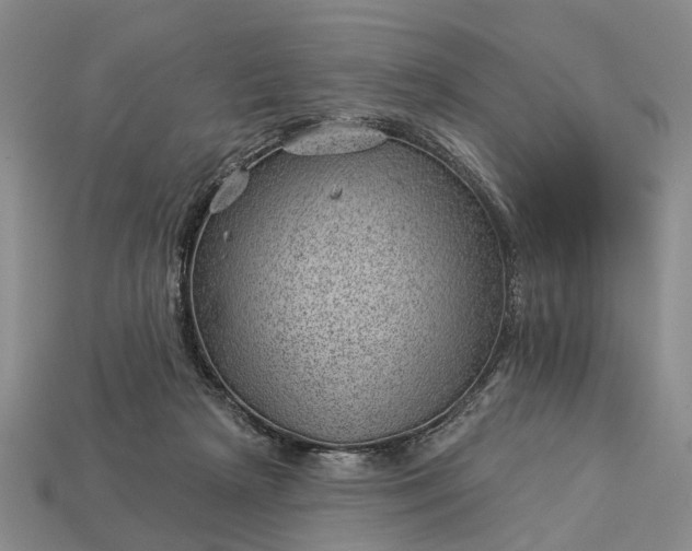 X0000112980265200909101720