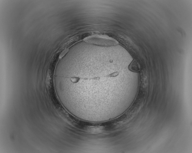 X0000112980266200909101720