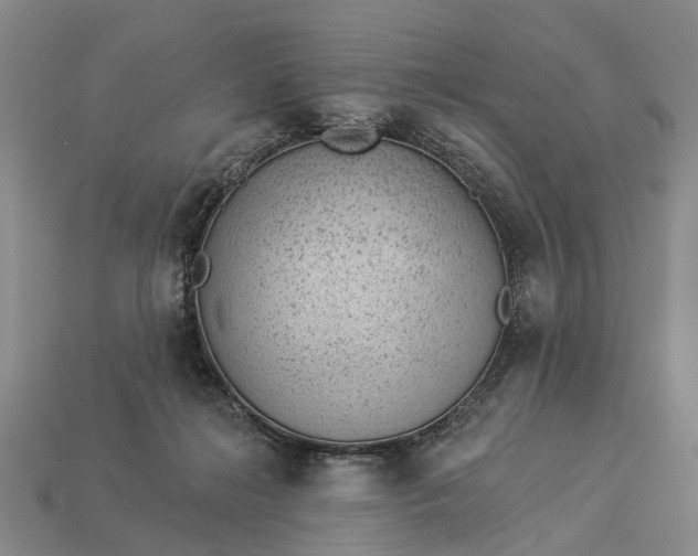 X0000112980268200909101720