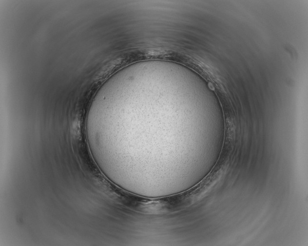 X0000112980269200909101720