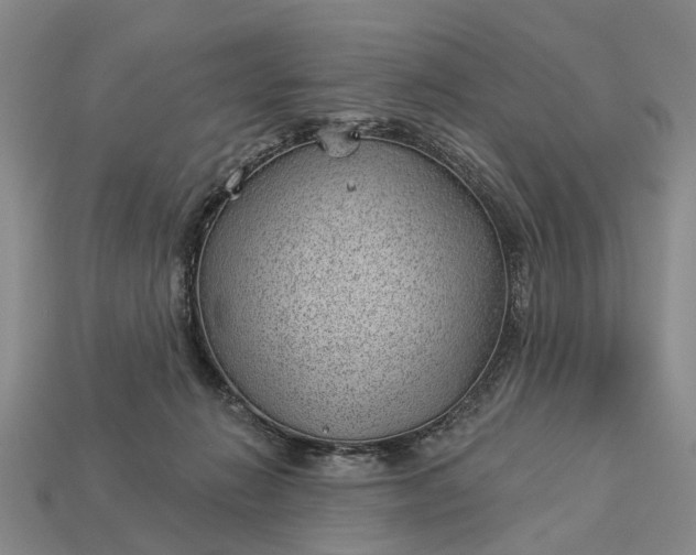 X0000112980270200909101720