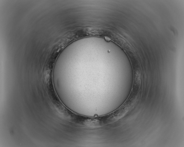 X0000112980271200909101720