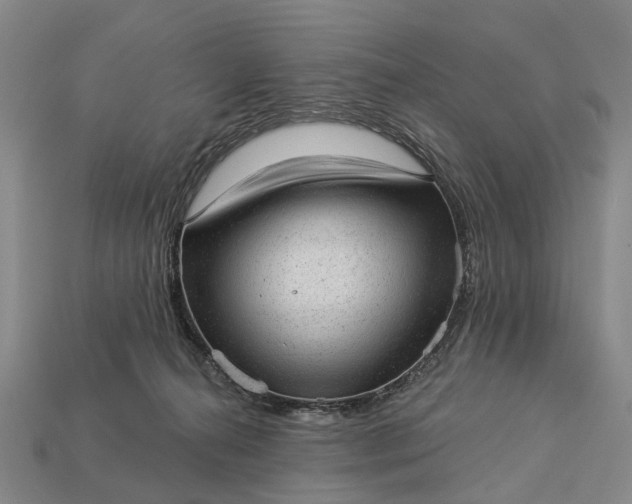 X0000112980272200909101720