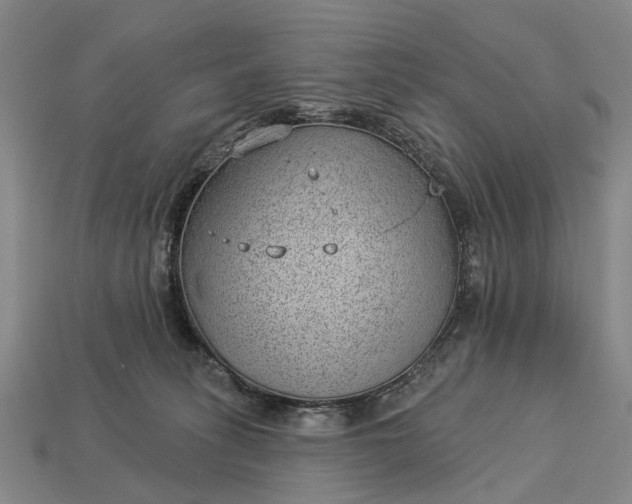 X0000112980275200909101720