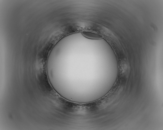 X0000112980276200909101720