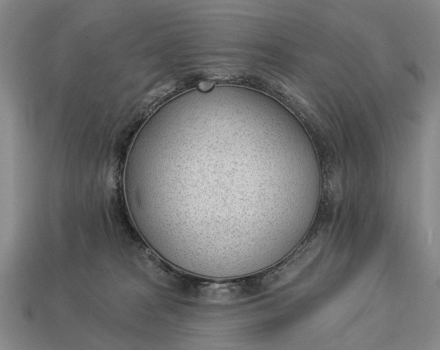 X0000112980277200909101721