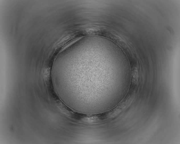 X0000112980278200909101721