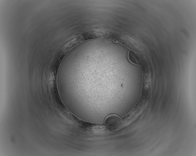 X0000112980279200909101721