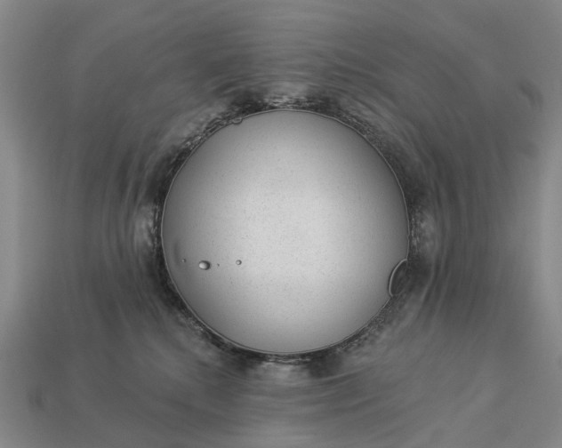 X0000112980280200909101721