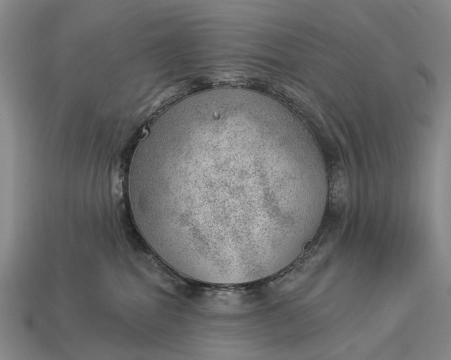 X0000112980282200909101721