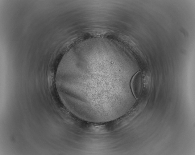 X0000112980283200909101721